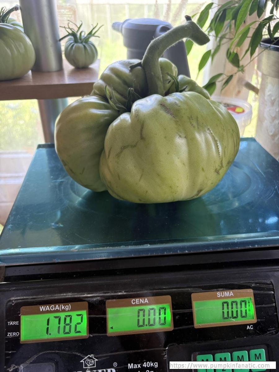 3.92 Dmitrijev 2025